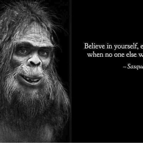 $ - Picture 12 of 16